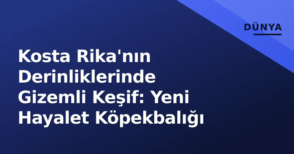 Kosta Rika'nın Derinliklerinde Gizemli Keşif: Yeni Hayalet Köpekbalığı görseli