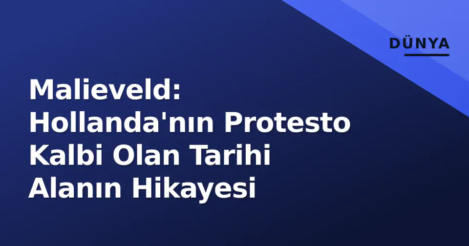 Malieveld: Hollanda'nın Protesto Kalbi Olan Tarihi Alanın Hikayesi görseli