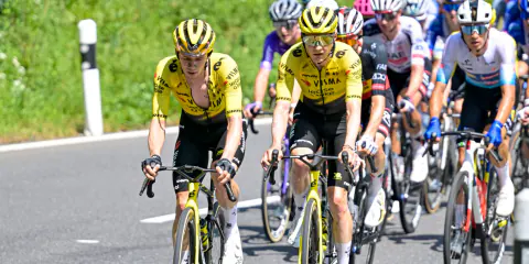 Visma | Lease a Bike'da Şaşırtan Karar: Tour de France Kadrosunda Hollandalı Yok