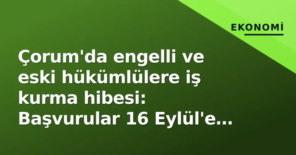 Çorum'da engelli ve eski hükümlülere iş kurma hibesi: Başvurular 16 Eylül'e kadar görseli