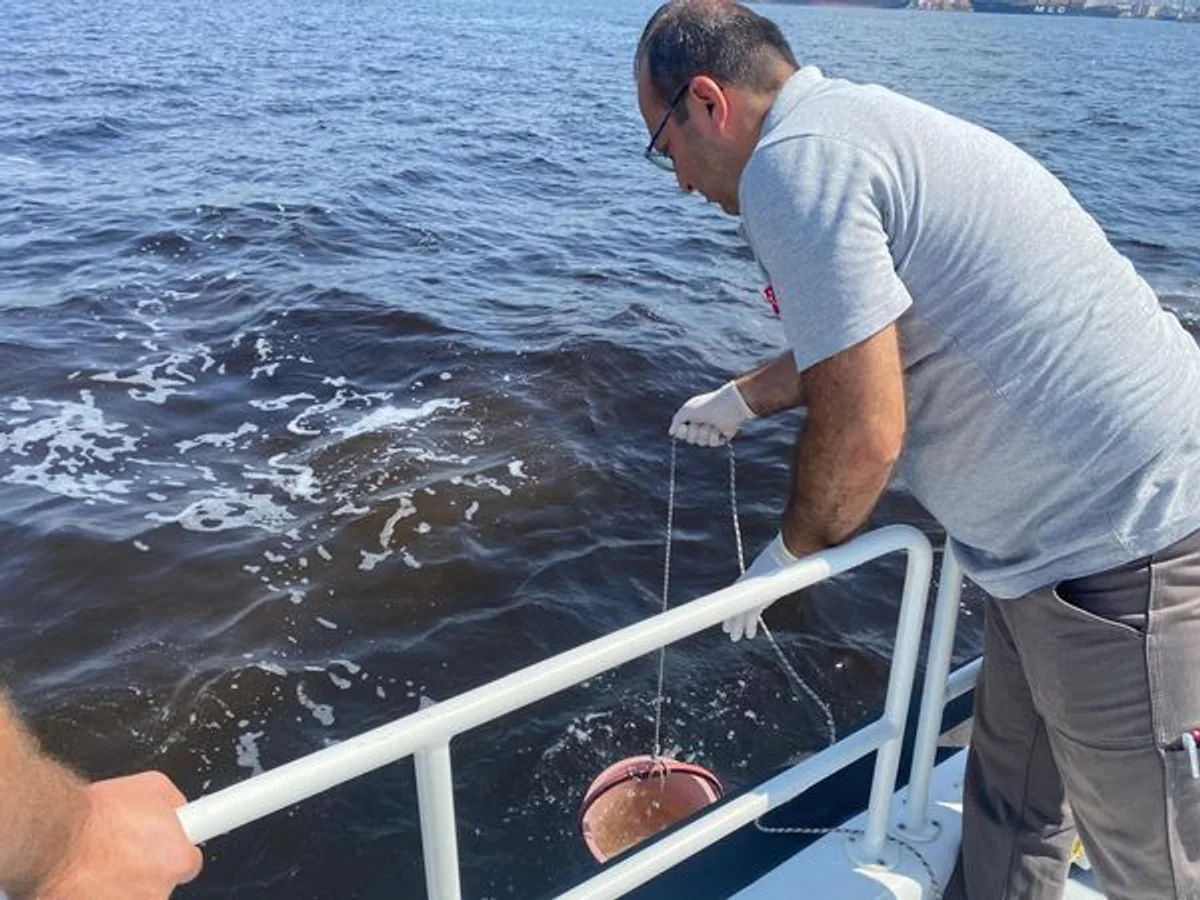 T.C. Çevre, Şehircilik ve İklim Değişikliği Bakanlığı İzmir Körfezi'nde Balık Ölümleri İncelemesi Başlattı T.C. Çevre, Şehircilik ve İklim Değişikliği Bakanlığı İzmir Körfezi'nde Balık Ölümleri İncelemesi Başlattı