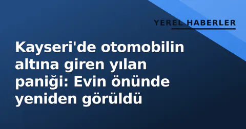 Kayseri'de otomobilin altına giren yılan paniği: Evin önünde yeniden görüldü