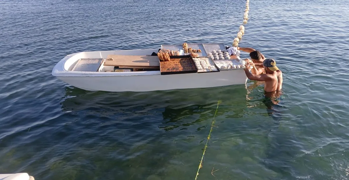 Erdek'te Yeni Bir Tatil Mekanı: Deniz Pastanesi Erdek'te Yeni Bir Tatil Mekanı: Deniz Pastanesi