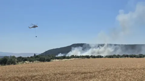 Çanakkale Ezine'de Tarım Arazisinde Yangın: Ekipler Seferber Oldu