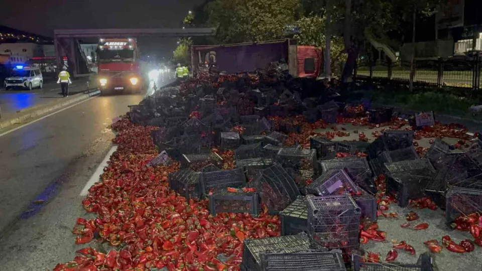 Samsun'da devrilen kamyondan 10 ton kapya biber yola saçıldı: 2 yaralı görseli