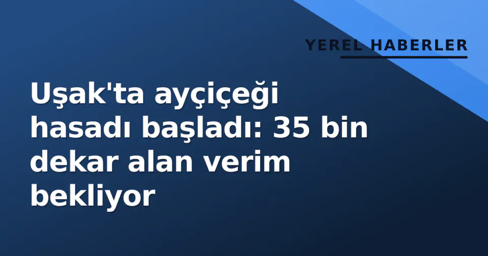 Uşak'ta ayçiçeği hasadı başladı: 35 bin dekar alan verim bekliyor görseli