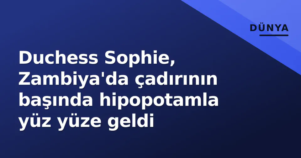 Duchess Sophie, Zambiya'da çadırının başında hipopotamla yüz yüze geldi görseli