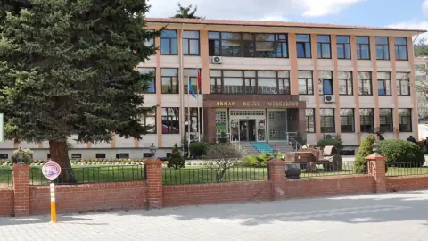 Kastamonu'da Orman Yolları Yenileniyor: HDPE Boru Alımı İhalesi Başladı