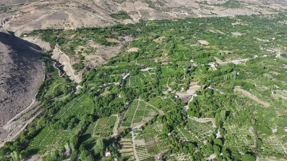 Erzincan Çiftçilerine Destek Mesajı Erzincan Çiftçilerine Destek Mesajı