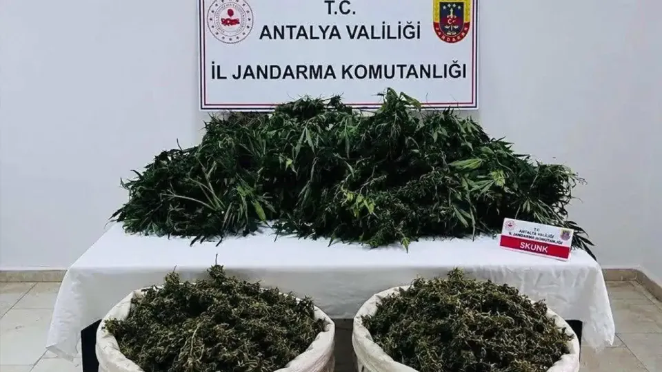 Antalya'da uyuşturucu darbesi: 11 kilo esrar ve 200 kök kenevir ele geçirildi görseli