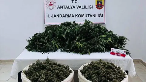 Antalya'da uyuşturucu darbesi: 11 kilo esrar ve 200 kök kenevir ele geçirildi