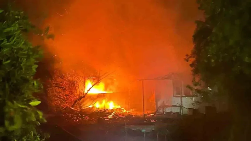 Söke Akçakonak'ta Depo Yangını: Zeytin Ağaçları Alevlere Teslim Oldu görseli