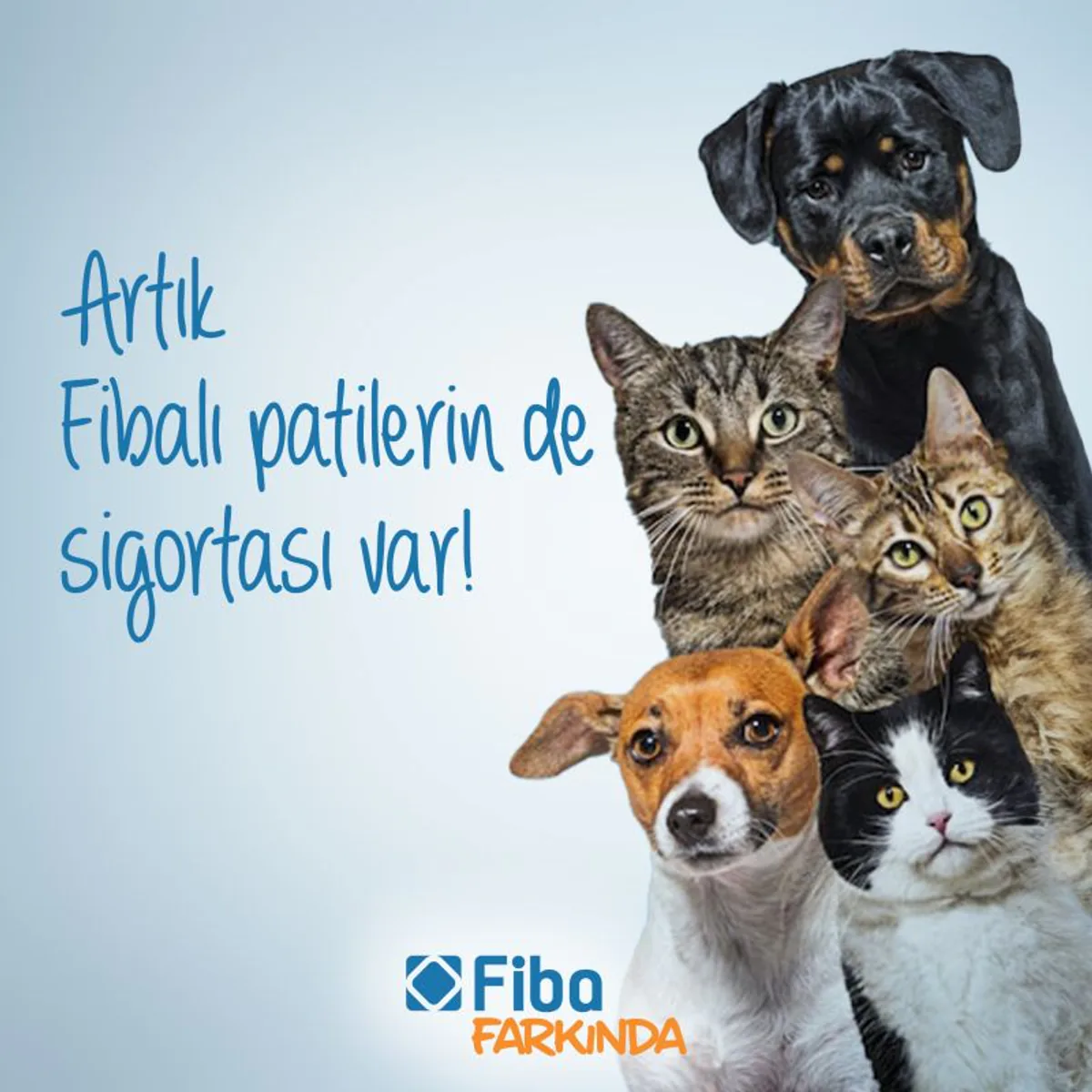 Fiba Holding, Evcil Hayvanlar İçin Yeni Bir Pet Sigorta Uygulaması Başlattı Fiba Holding, Evcil Hayvanlar İçin Yeni Bir Pet Sigorta Uygulaması Başlattı