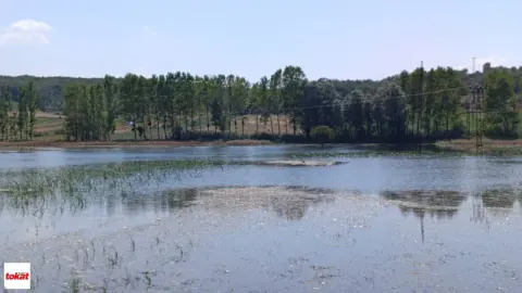 Niksar'da Tahliye Sorunu Tarım A ini Vurdu: Tarlalar Sular Altında