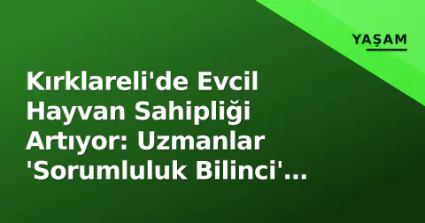 Kırklareli'de Evcil Hayvan Sahipliği Artıyor: Uzmanlar 'Sorumluluk Bilinci' Vurguluyor