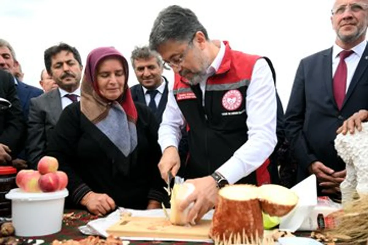 Divle Obruğu Tulum Peyniri Coğrafi İşaretle Korunacak Divle Obruğu Tulum Peyniri Coğrafi İşaretle Korunacak