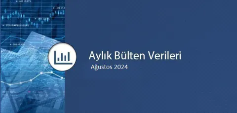 BDDK 2024 Yılı Ağustos Ayı İnteraktif Aylık Bülteni Yayımlandı