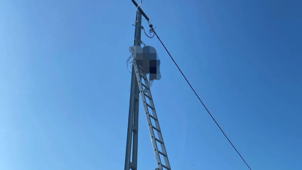 Kocaali'de elektrik direğine tırmanan ustası akımda hayatını kaybetti Kocaali'de elektrik direğine tırmanan ustası akımda hayatını kaybetti