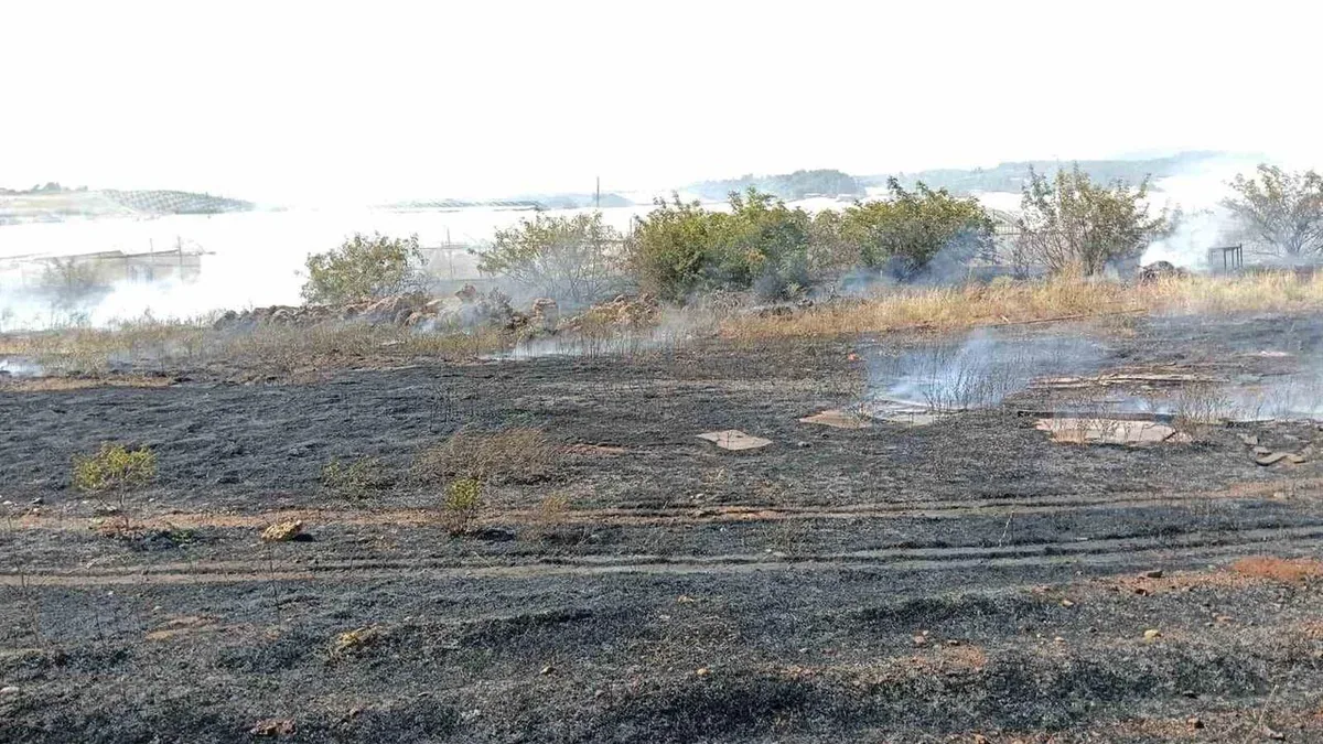 Antalya Serik'te Korkutan Yangın: Yukarıçatma Mahallesi'nde Alevler Kontrol Altına Alındı