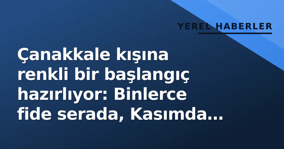 Çanakkale kışına renkli bir başlangıç hazırlıyor: Binlerce fide serada, Kasımda sokaklarda görseli