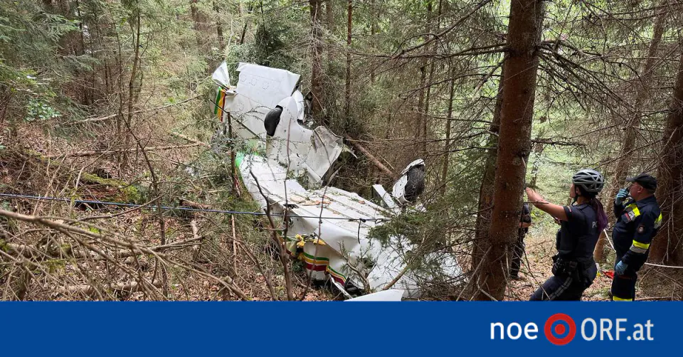 Avusturya'da Küçük Uçak Düştü: 2 Ölü, 2 Ağır Yaralı görseli