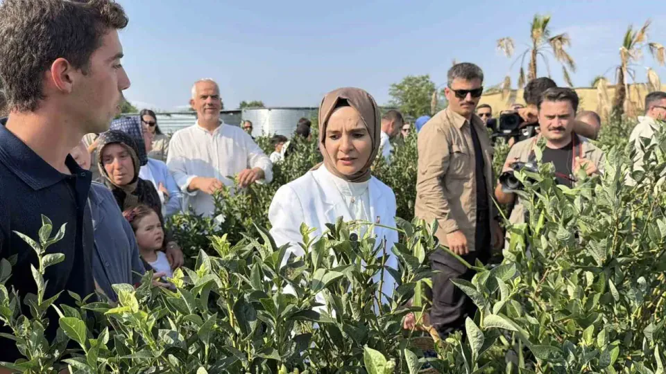 Bakan Göktaş Düzce'de Yaban Mersini Bahçesinde Genç Girişimcilere Örnek Oldu görseli