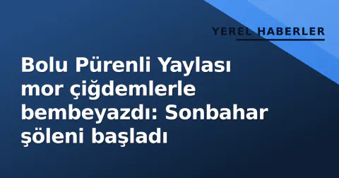 Bolu Pürenli Yaylası mor çiğdemlerle bembeyazdı: Sonbahar şöleni başladı