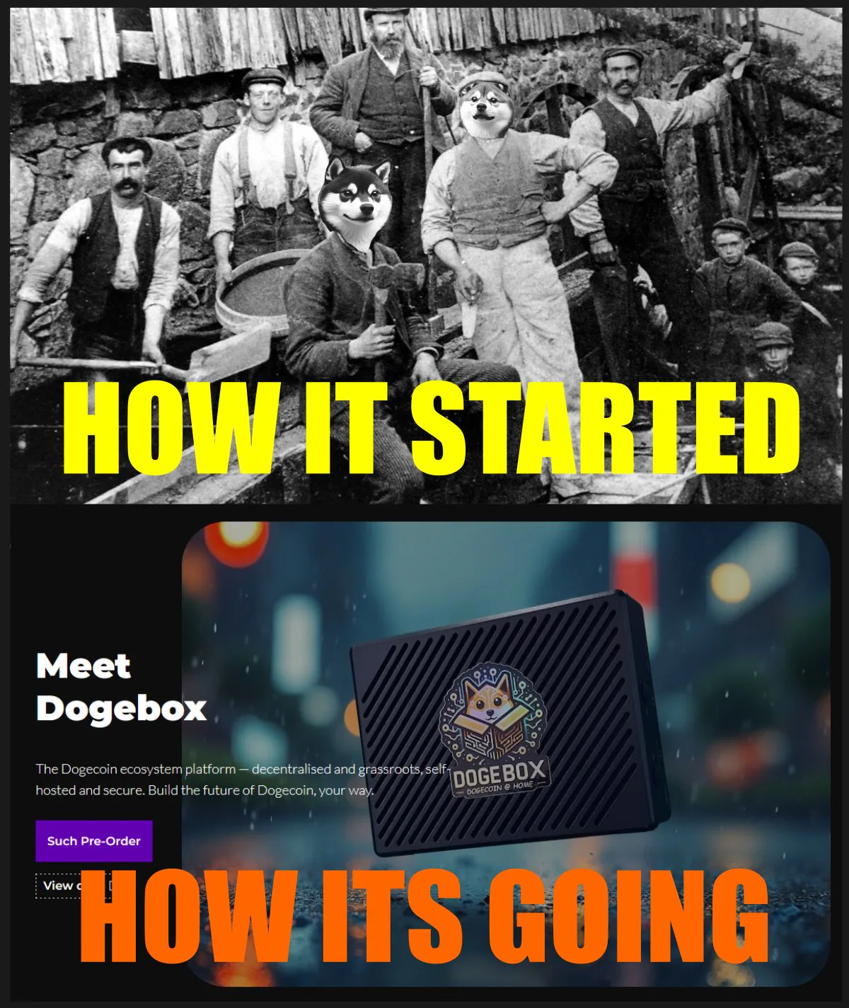 Dogecoin Ekosistemine Yenilik: Dogebox Dogecoin Ekosistemine Yenilik: Dogebox