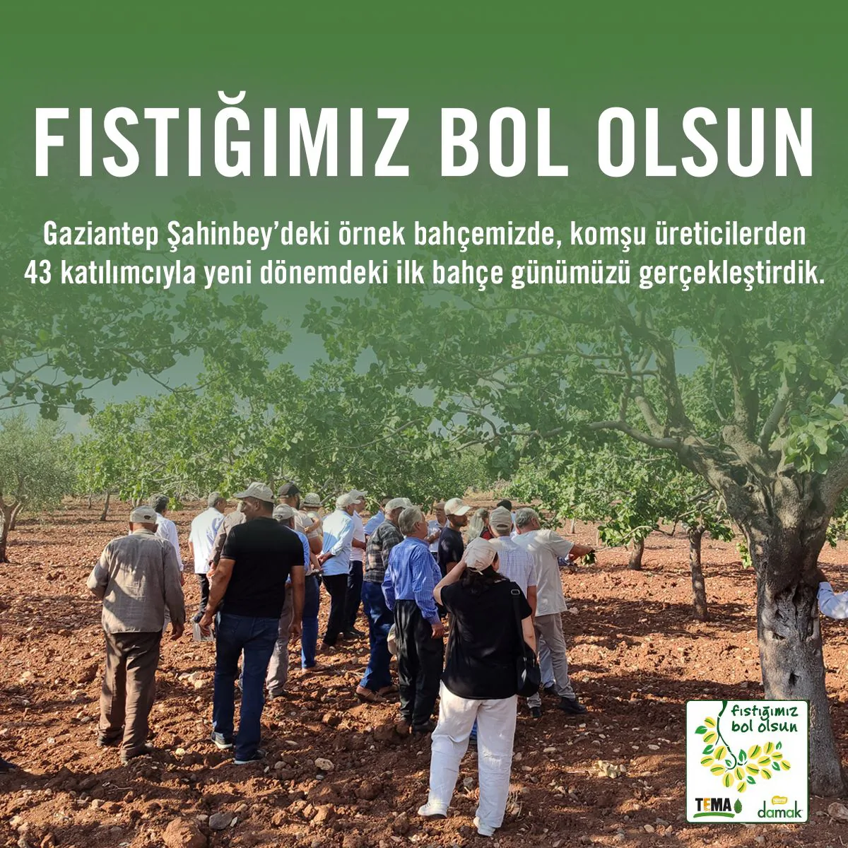 Fıstığımız Bol Olsun Projesi 4. Faz Fıstığımız Bol Olsun Projesi 4. Faz