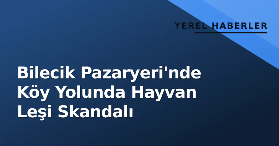 Bilecik Pazaryeri'nde Köy Yolunda Hayvan Leşi Skandalı görseli