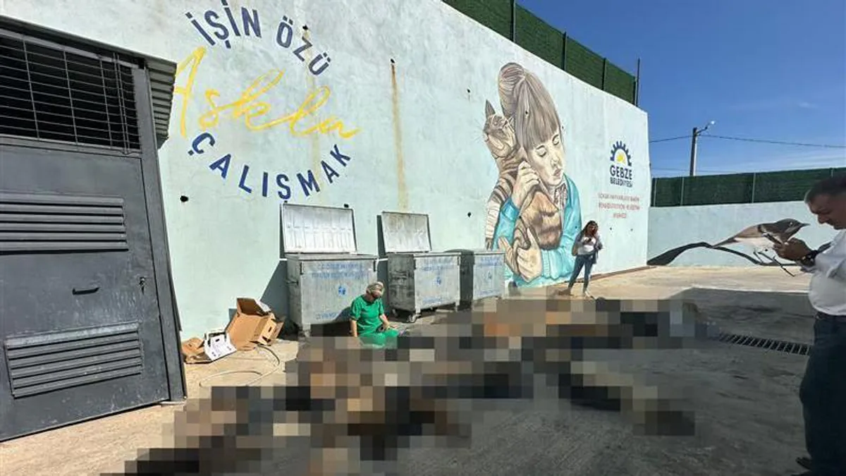 Gebze'de Skandal: Sokak Hayvanlarının Ölüsü Çöp Konteynerlerinde Bulundu Gebze'de Skandal: Sokak Hayvanlarının Ölüsü Çöp Konteynerlerinde Bulundu