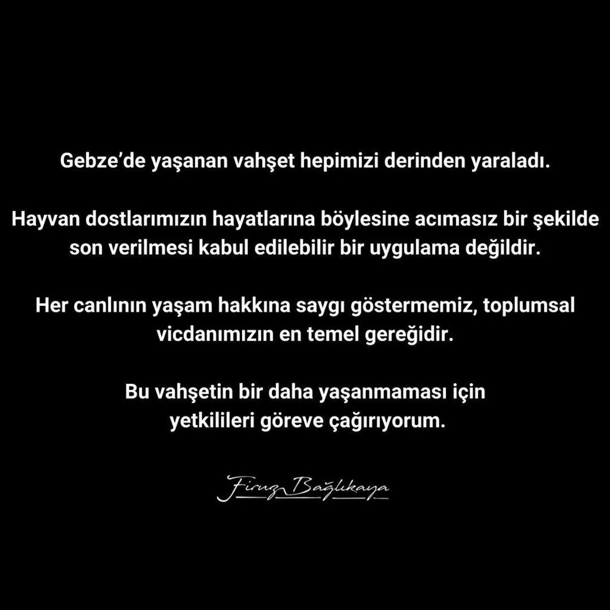 Gebze'de Hayvanlara Yapılan Acımasız Saldırı Toplumu Derinden Etkiledi Gebze'de Hayvanlara Yapılan Acımasız Saldırı Toplumu Derinden Etkiledi