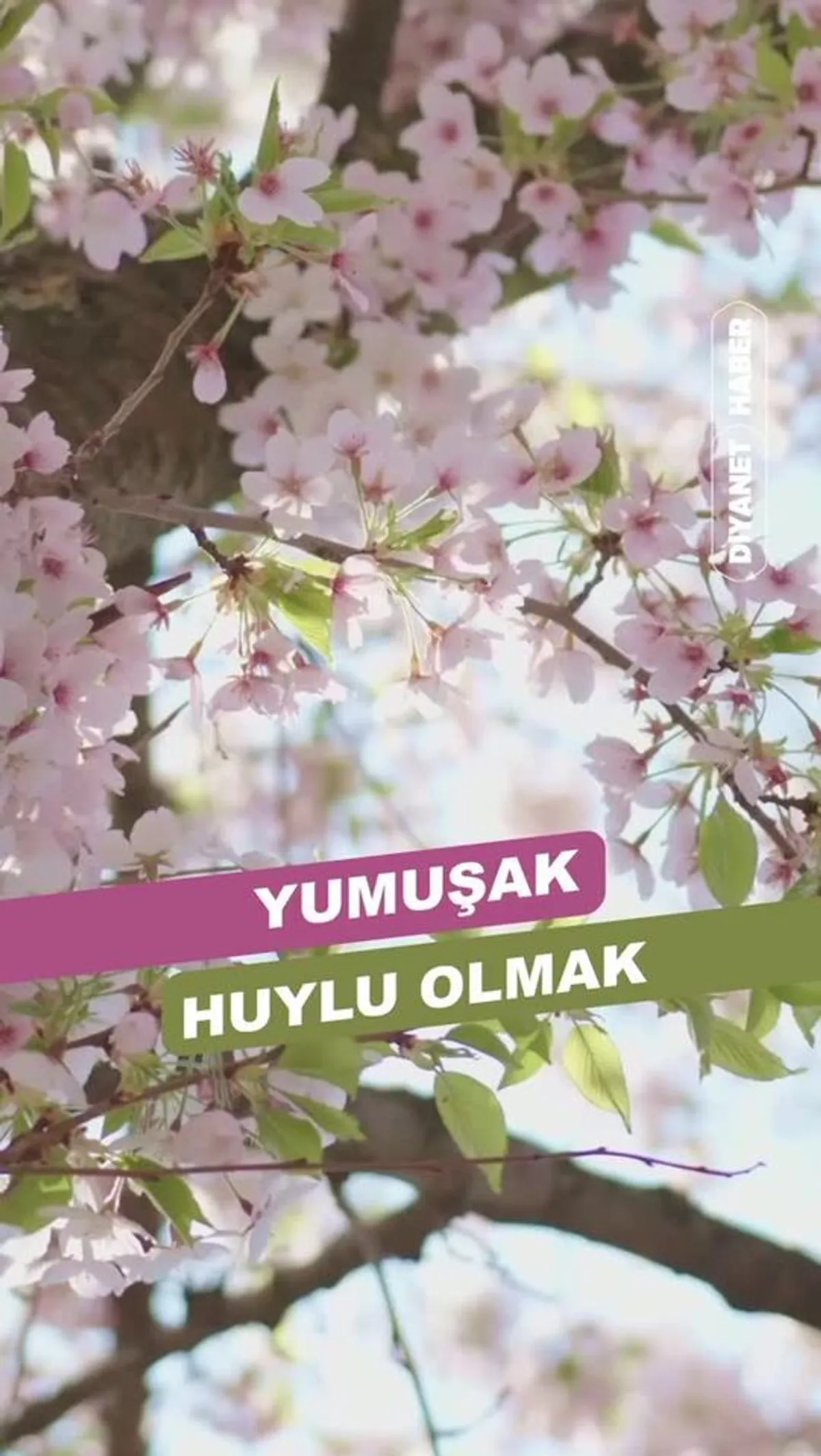 Manisa Müftülüğü Topluma Moral ve Motivasyon Kaynağı Olmaya Devam Ediyor Manisa Müftülüğü Topluma Moral ve Motivasyon Kaynağı Olmaya Devam Ediyor