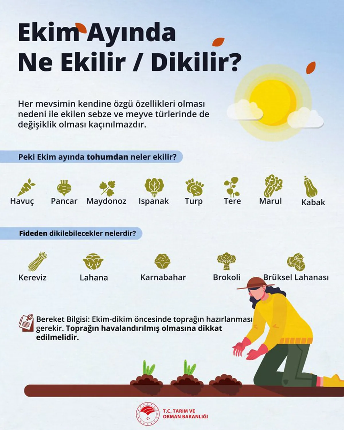 Ekim Ayında Bahçenize Ekim İçin En Uygun Sebzeler Ekim Ayında Bahçenize Ekim İçin En Uygun Sebzeler