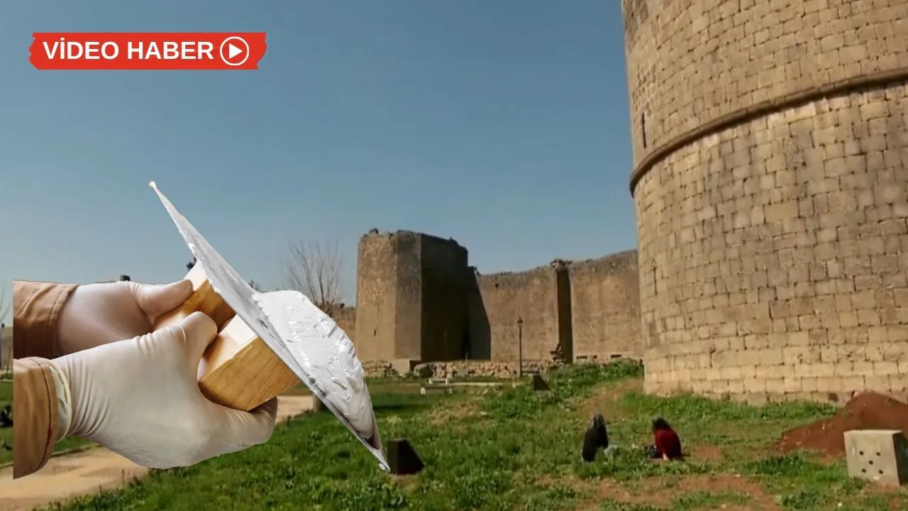 Diyarbakır Surları'nda Keçi Burcu Krizi: Restorasyon Neden Bitmiyor? Diyarbakır Surları'nda Keçi Burcu Krizi: Restorasyon Neden Bitmiyor?