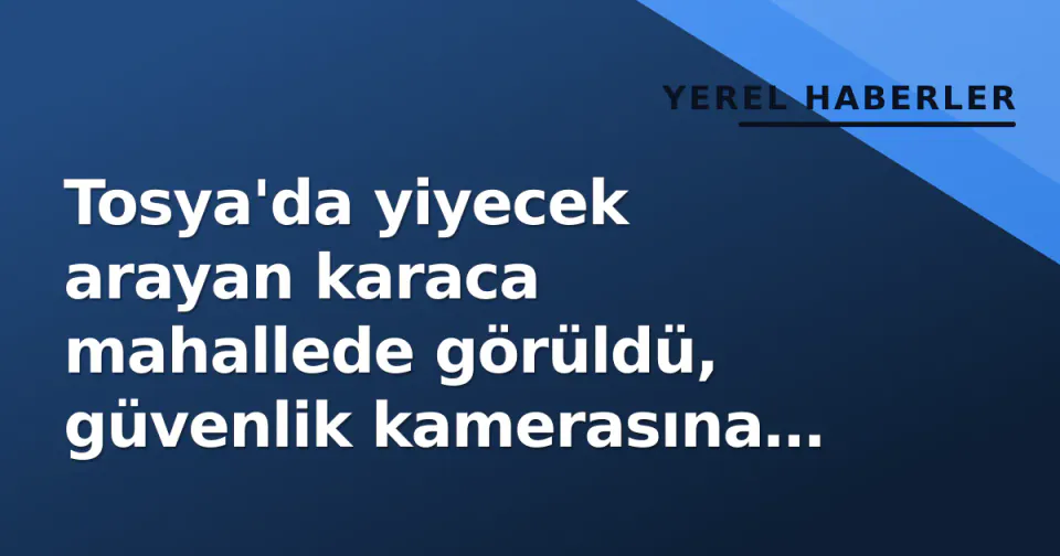 Tosya'da yiyecek arayan karaca mahallede görüldü, güvenlik kamerasına yansıdı görseli