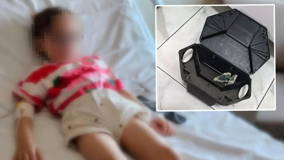 Kocaeli'de Özel Kreşte Skandal: 5 Yaşındaki Çocuk Fare Zehiriyle Temas Etti görseli