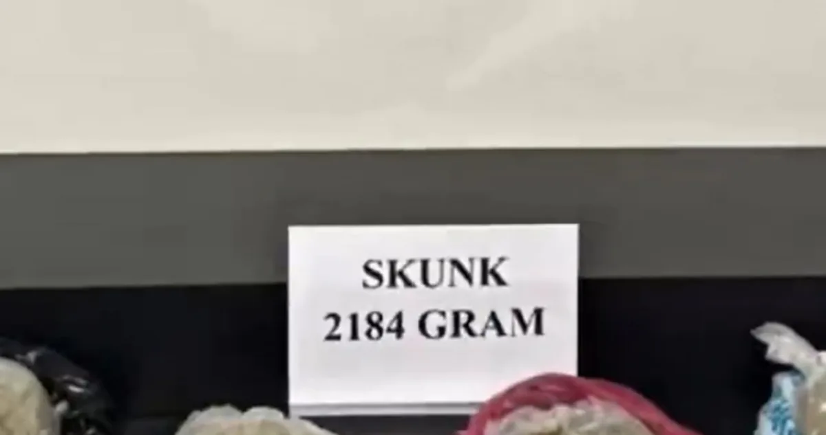 Hakkari'de Zehir Operasyonu: 2 Kilogram Skunk Ele Geçirildi