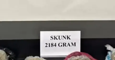 Hakkari'de Zehir Operasyonu: 2 Kilogram Skunk Ele Geçirildi