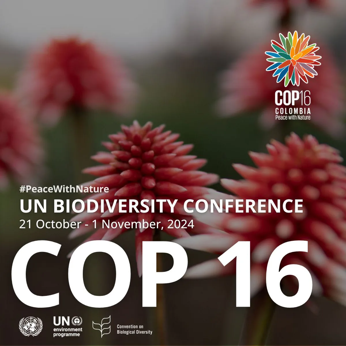 Birleşmiş Milletler Biyoçeşitlilik Konferansı ve COP 16 Konferansı Birleşmiş Milletler Biyoçeşitlilik Konferansı ve COP 16 Konferansı