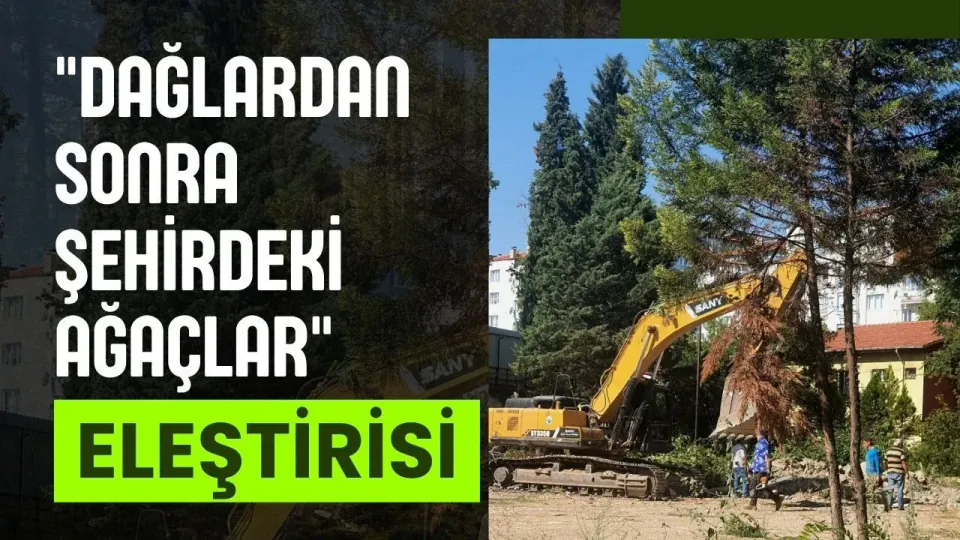 Uşak'ta Öğretmenevi İnşaatı İçin Ağaç Kesimine Tepki görseli