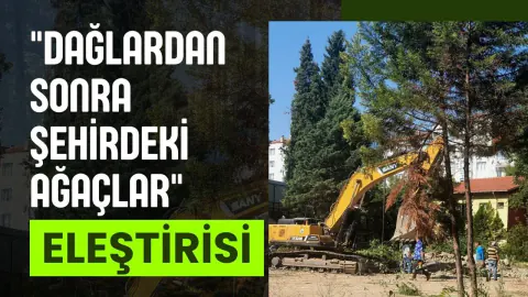 Uşak'ta Öğretmenevi İnşaatı İçin Ağaç Kesimine Tepki