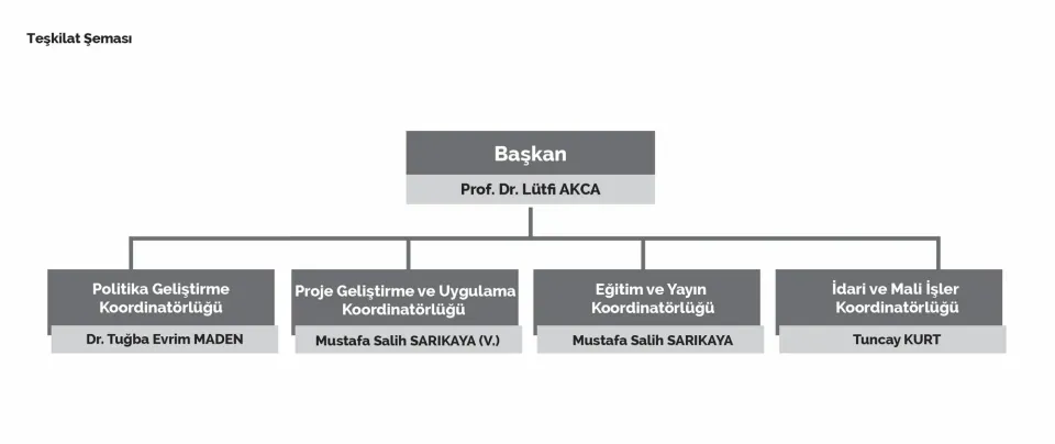 Sektörel SOME'lerin Kurumsal Yapısı ve Siber Denetim Mekanizmaları görseli