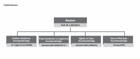 Sektörel SOME'lerin Kurumsal Yapısı ve Siber Denetim Mekanizmaları