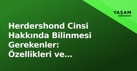 Herdershond Cinsi Hakkında Bilinmesi Gerekenler: Özellikleri ve Çeşitleri
