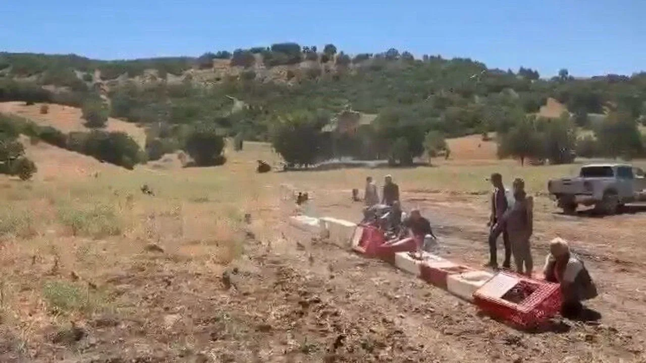 Elazığ Karakoçan'da Kene ile Mücadele: 300 Kınalı Keklik Doğaya Salındı Elazığ Karakoçan'da Kene ile Mücadele: 300 Kınalı Keklik Doğaya Salındı
