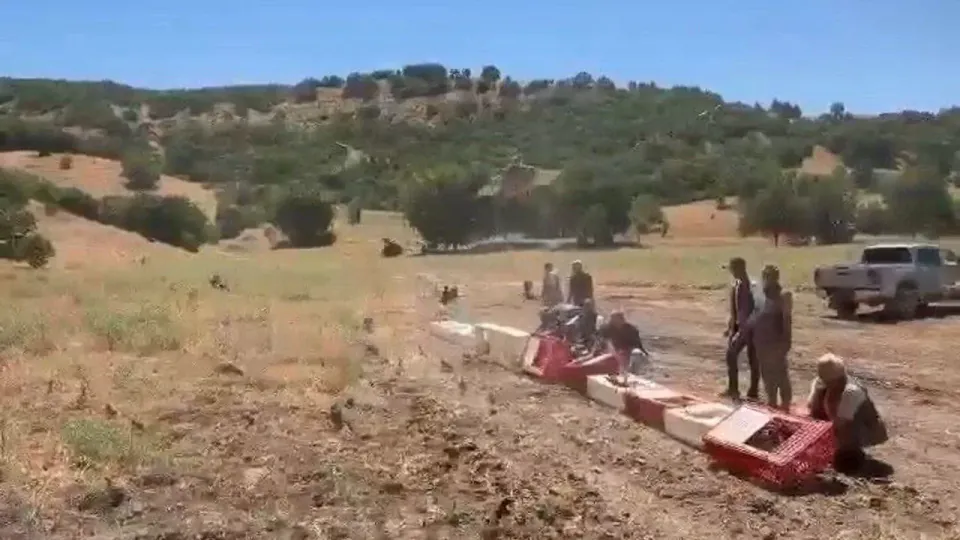 Elazığ Karakoçan'da Kene ile Mücadele: 300 Kınalı Keklik Doğaya Salındı görseli