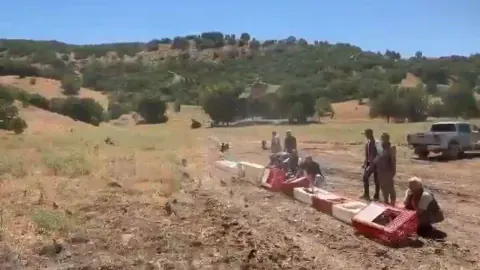 Elazığ Karakoçan'da Kene ile Mücadele: 300 Kınalı Keklik Doğaya Salındı