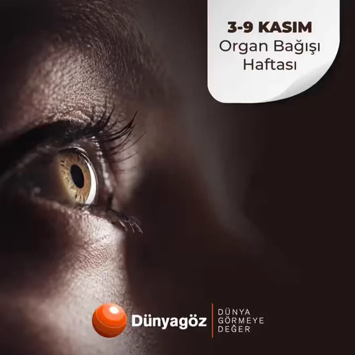Organ Bağışı Haftası: Hayat Kurtarmak İçin Önemli Bir Fırsat Organ Bağışı Haftası: Hayat Kurtarmak İçin Önemli Bir Fırsat