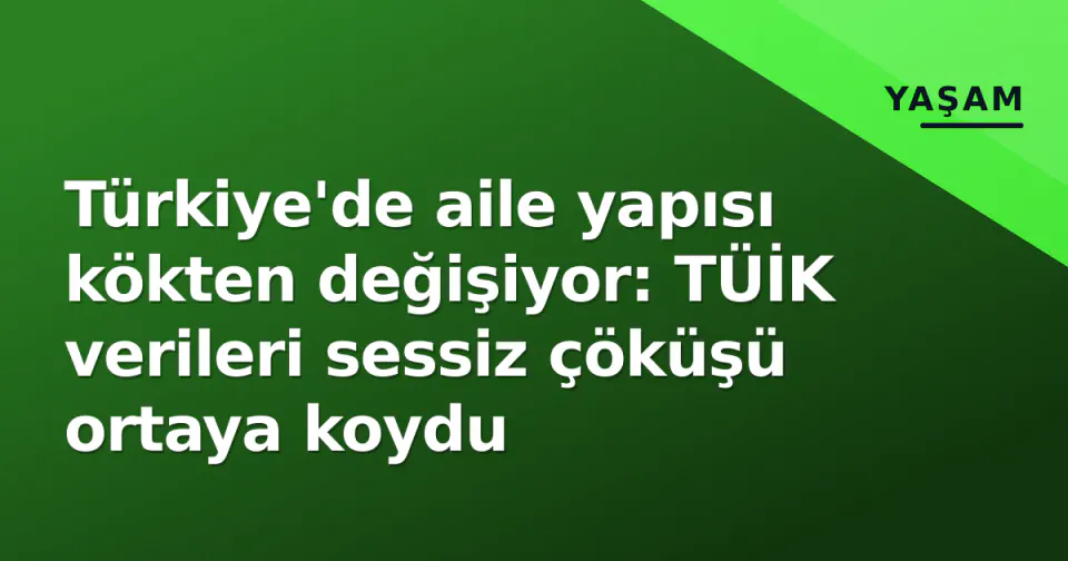 Türkiye'de aile yapısı kökten değişiyor: TÜİK verileri sessiz çöküşü ortaya koydu görseli